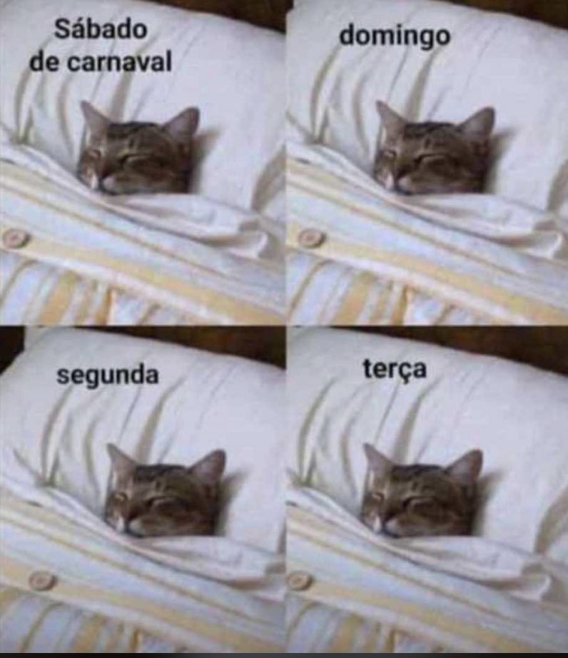 P*rra de cv mlq tu mora em apartamento carlho (@azaphian) on Twitter photo 