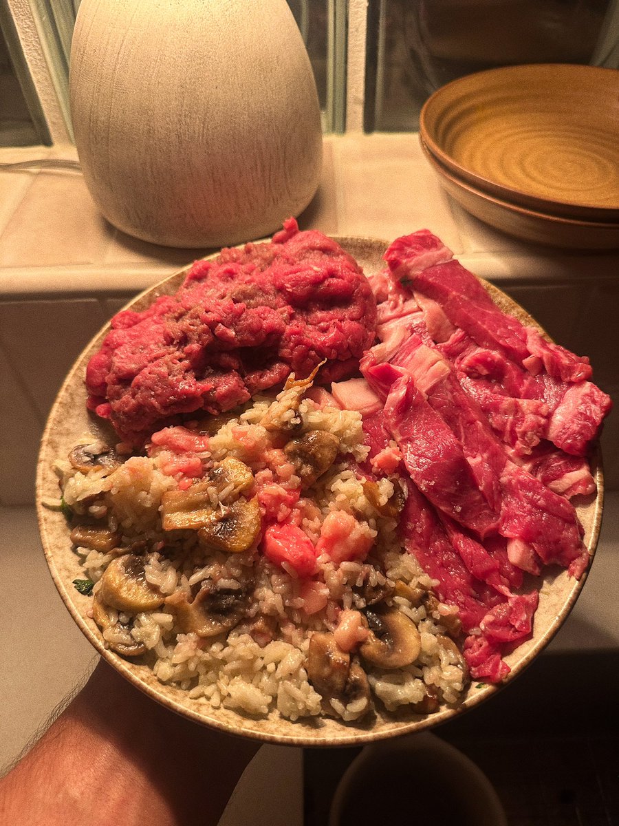 SolBrah's tweet image. Raw meat plate for dinner: raw ground beef, sliced ribeye steak. Served with white rice + sautéed mushrooms topped with raw bone marrow. 

Raw is law.