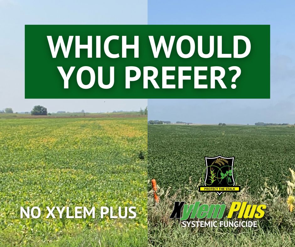 AgPerformance_'s tweet photo. As #farmers ourselves, we take pride in a green, clean #field — just like you.

Don't let your fields become prone to disease this season. Apply 32 oz of #XylemPlus Systemic Fungicide in-furrow and 24 oz at R1 to keep your crops healthy all season long. 😎
https://t.co/e9Wylcsnui https://t.co/2TX6FSprKG