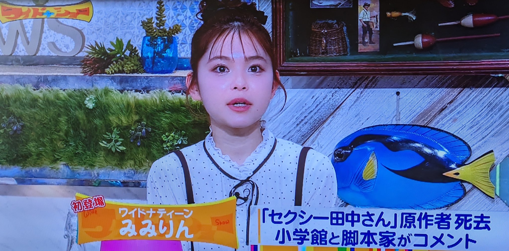 ☆みみりん☆ 楽天市場】【10/4 20:00〜10/9 01:59 エントリーでP5倍】みりん