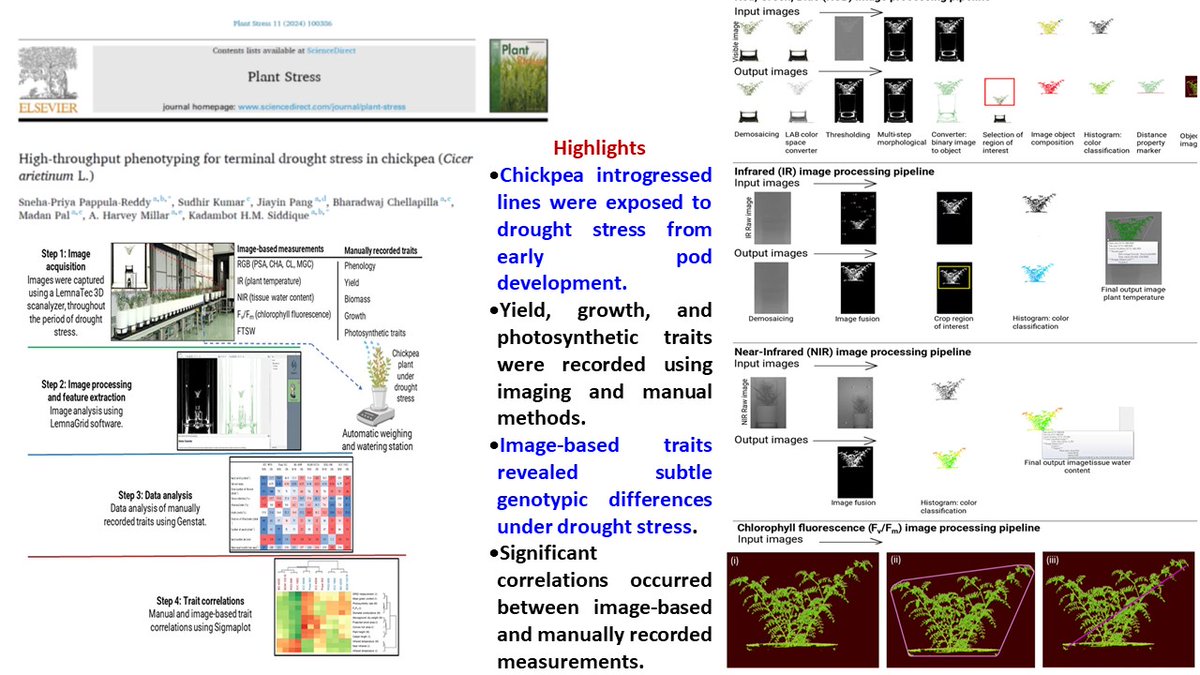 Robust image-based screening methods greatly facilitate #drought tolerance #research. UWA PhD. student Sneha Priya studied the variable responses of chickpea genotypes under terminal #drought stress using Lemnatec's #highthroughput phenotyping platform. sciencedirect.com/science/articl…