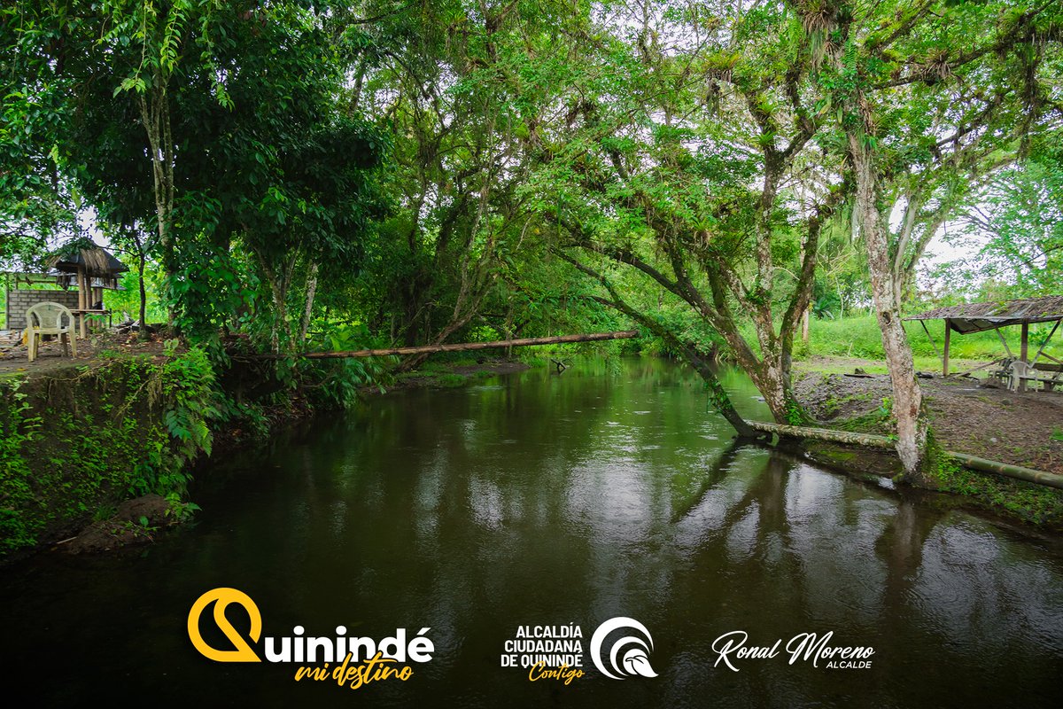 GADQuininde's tweet photo. ¡Sumérgete en un carnaval de naturaleza y magia en Mi Finca! 
Río refrescante donde podrás divertirte junto a tu familia
Área de camping (10 USD noche/persona – incluido el desayuno)
Área de alimentación y bar.
Canchas de indor y voleibol.
#MiFinca #CarnavalEnMalimpia https://t.co/jdbvHoSkvy