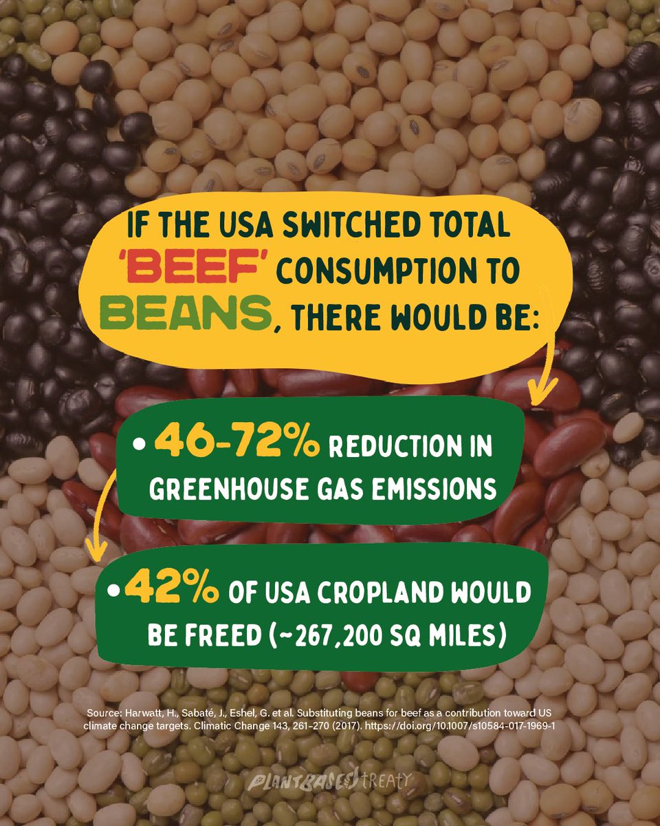 Eating beans instead of “beef” can save the planet. #WorldPulsesDay 🫘