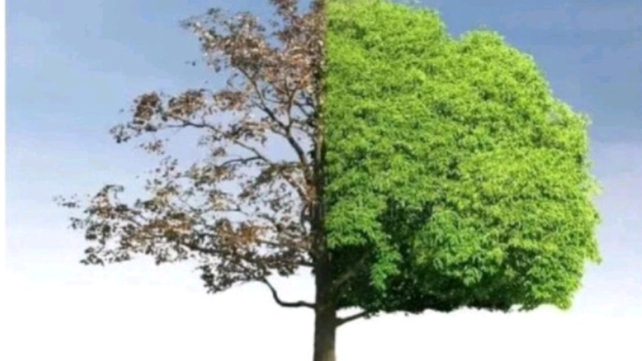 the_foreignguy's tweet image. Life After Matric vs Life Before Metric