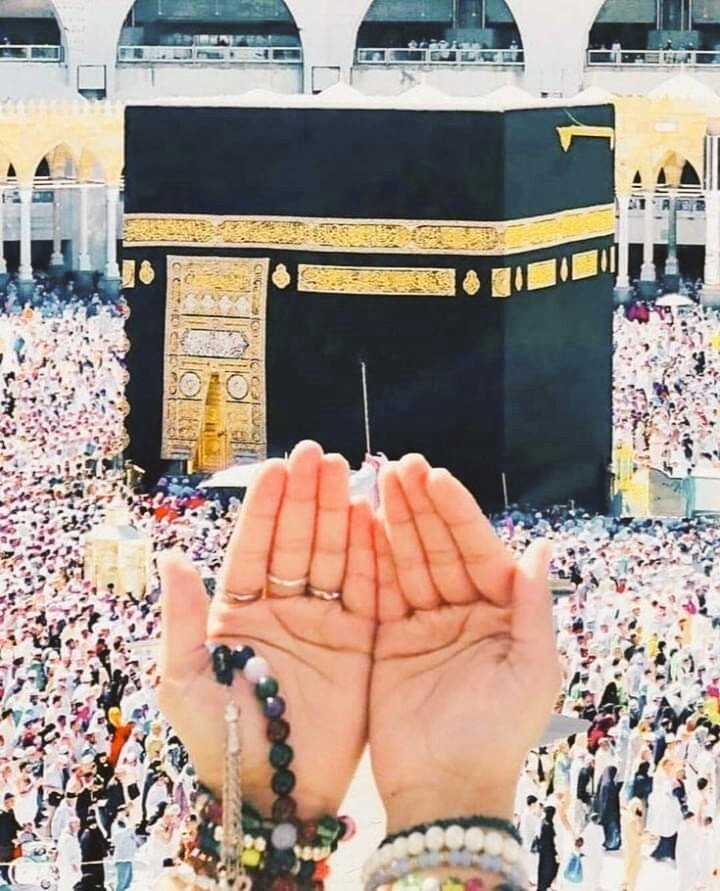 #T_promo
السلام وعليكم 🍂
صبح بخير🍁
دعا ہے کہ اللّٰہ آپ کو اور اہل خانہ کو ارض و سماء کی 
تمام آفات سے محفوظ رکھے اور صحت و تندرستی عطا 
فرمائے۔🍂
 🍁آمین🍁
