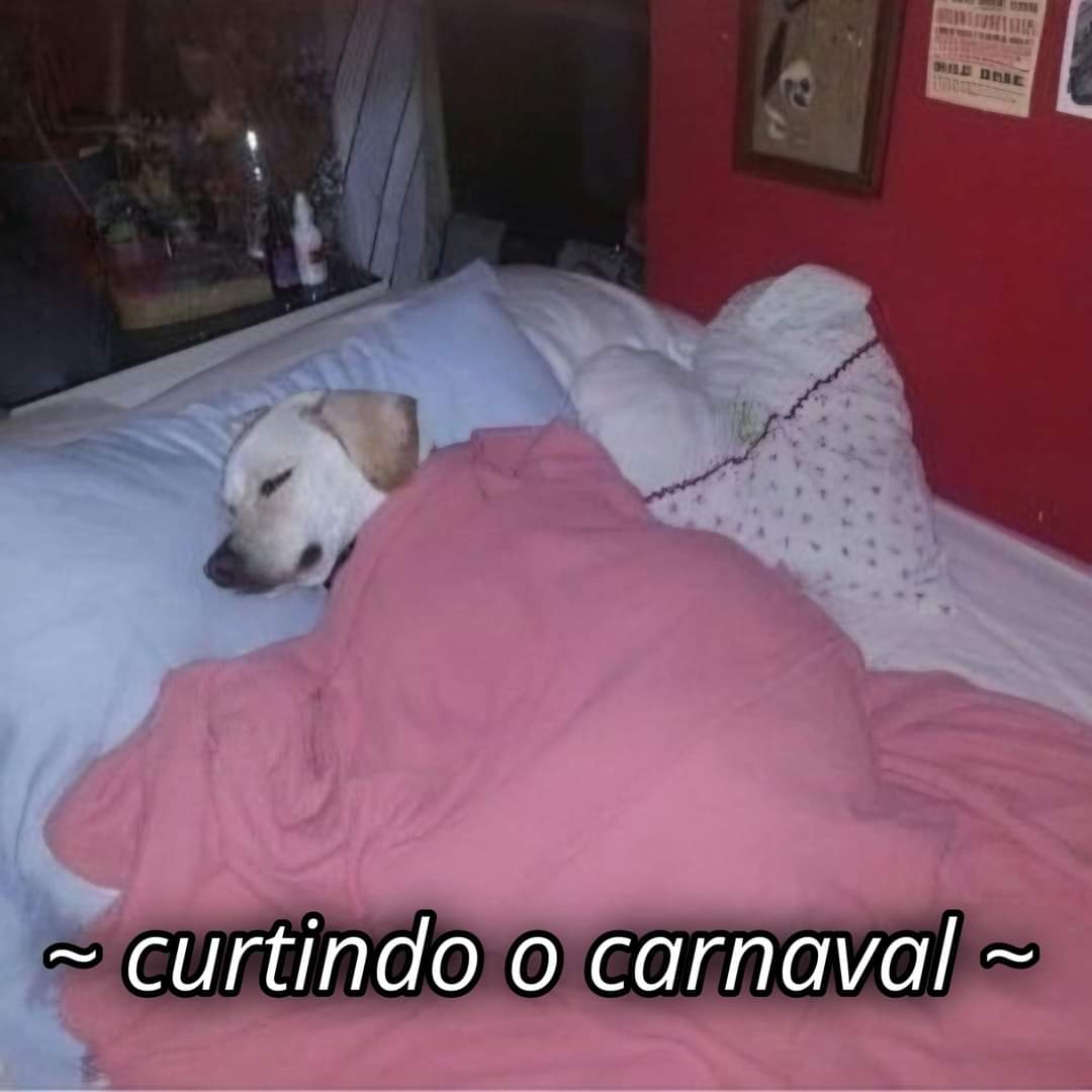 curtovcs's tweet image. 