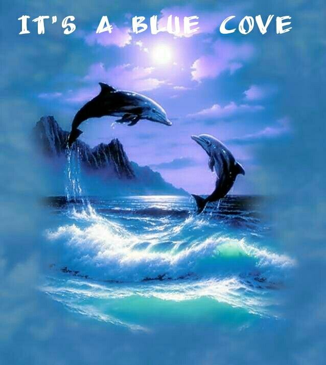 <a href="/KunitoSeko/">Kunito Seko</a> Kunitoさん、👿🚤手ぶらで帰港の朗報を有難うございます😊暖かくしてお休みください。Feb.11
海の天使達が無事で嬉しい😍🙏
💙🐬🐋🐳💙🙏🤩Grateful Blue Cove Day!
The cruel/wicked 👿🚤returned Empty-handed!
#イルカ猟廃止
#FreeTheCaptives
#殺さないで
#家族を離散させないで
#水族館はCGかロボ