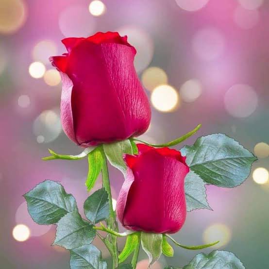 deepakgakola's tweet image. There is one thing in My heart that I will tell you today...
I just don't want anything from you
Love you ❤.... ❤....