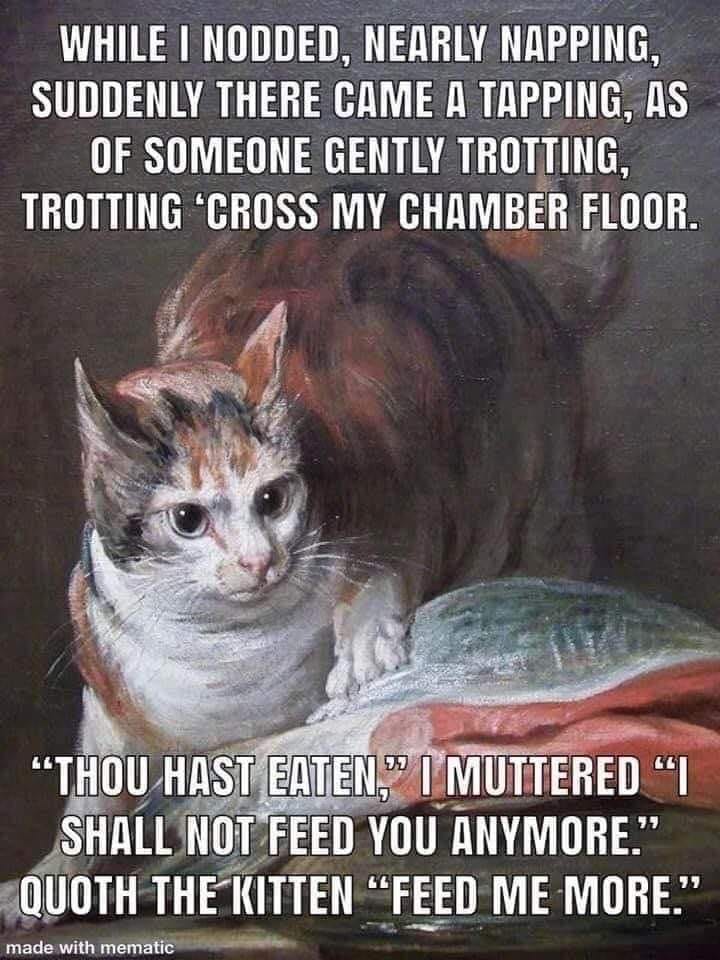 This made us think of you <a href="/catscastpod/">catscastpod</a>