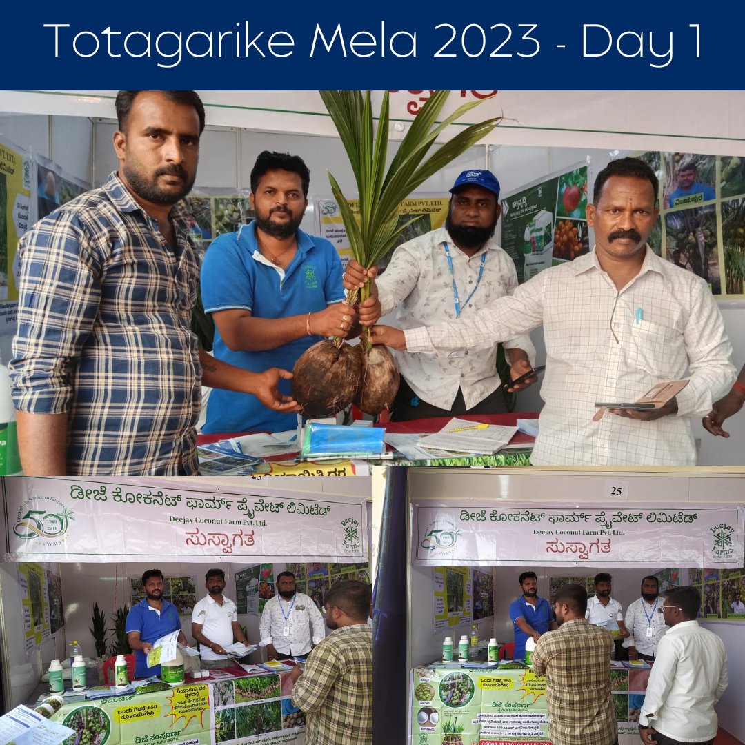 An exciting offer awaits | Stall No. 25
Book your seedlings at Totagarike Mela 2023 at UHS, Bagalkot, Karnataka.
.
.
.
.
#Deejay #Coconut #Farm #DeejayFarms #DeejaySampoorna #HighYielder #Exhibition #UHS #Bagalkot #Karnataka #CoconutFarming #coconuts #Farming #Agriculture