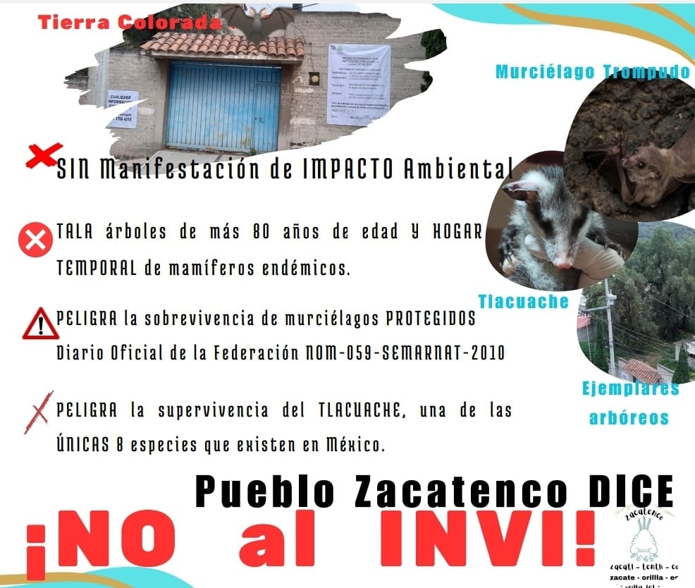 San Pedro Zacatenco, Pueblo Originario (@zacatencopueblo) on Twitter photo 📢 ASISTE Sábado 17 febrero, 10:40 a.m. a la ACCIÓN comunitaria en #TierraColorada y #Brasilia.
Trae carteles en RECHAZO a 8 unidades habitacionales que <a href="/INVICDMX/">INVI CDMX</a> coludido con @seduviCDMX pretende IMPONER en <a href="/ZACATENCOCDMX/">@ZACATENCOCDMX📡alerta</a> y Residencial Zacatenco.
<a href="/LindavistaUnida/">Lindavista Unida</a> #FUERAINVI 📢 ASISTE Sábado 17 febrero, 10:40 a.m. a la ACCIÓN comunitaria en #TierraColorada y #Brasilia.
Trae carteles en RECHAZO a 8 unidades habitacionales que <a href="/INVICDMX/">INVI CDMX</a> coludido con @seduviCDMX pretende IMPONER en <a href="/ZACATENCOCDMX/">@ZACATENCOCDMX📡alerta</a> y Residencial Zacatenco.
<a href="/LindavistaUnida/">Lindavista Unida</a> #FUERAINVI