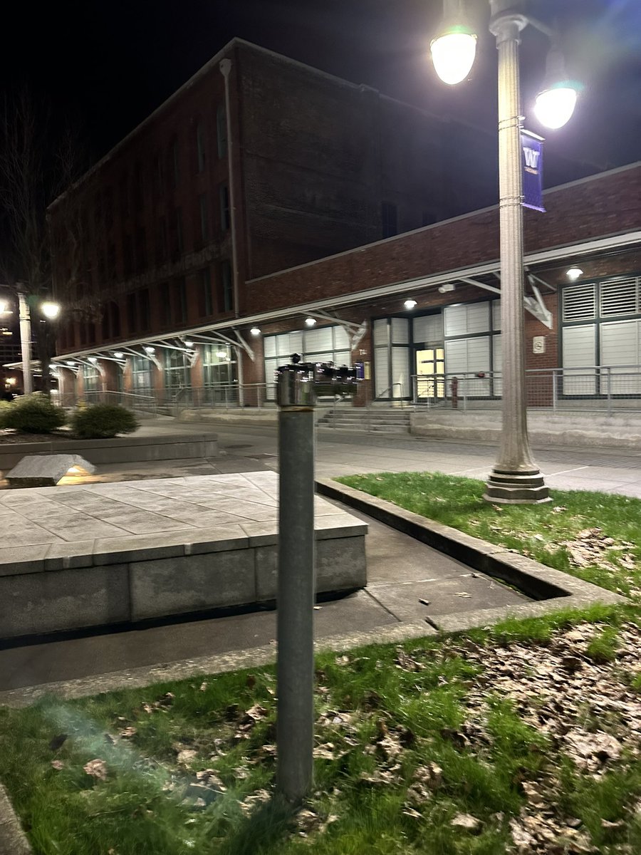 ptmonkey5's tweet image. #monkeyshines2024