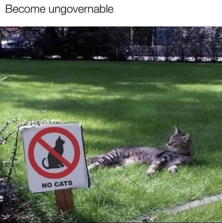 #BecomeUngovernable 😸