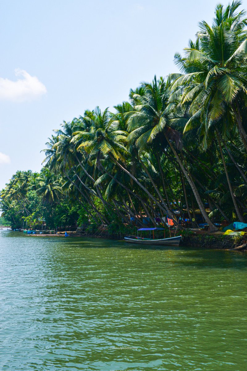 Have you ever glided through the palm-fringed #Honnavara #backwaters on the Sharavathi #River?
 #Karnataka #weekend #Karnatakatourism