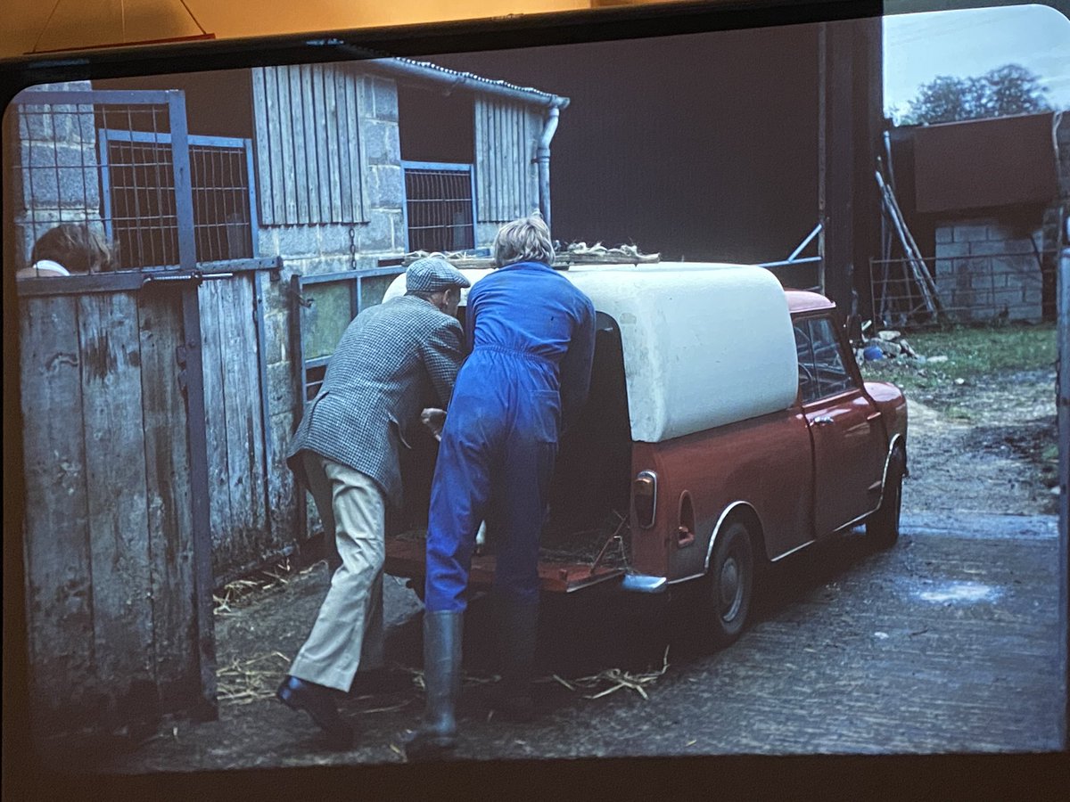 bonus pics, feed for the dairy cows here at Waterhay, and calves being loaded for Chippenham mkt at Park. That fibreglass top was a major upgrade from canvas and ugly that it is adorned all our later mini’s. This is a tiny amount of a large archive, that we are so lucky to have