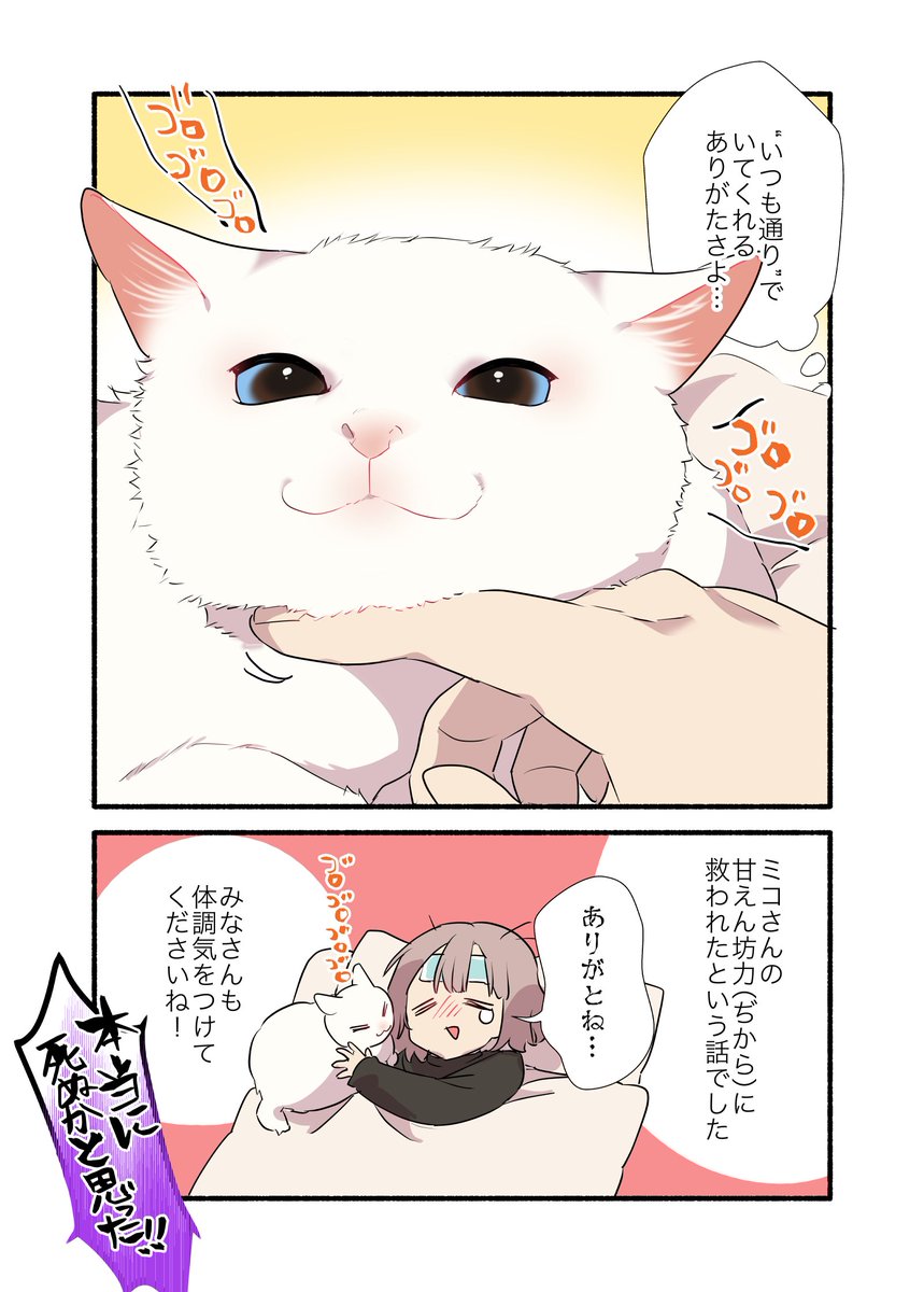 コロナで死にかけたら猫に神対応された話(2/2)    最近また流行ってるみたいなのでみなさんご自愛ください🍵 #漫画が読めるハッシュタグ #愛されたがりの白猫ミコさん