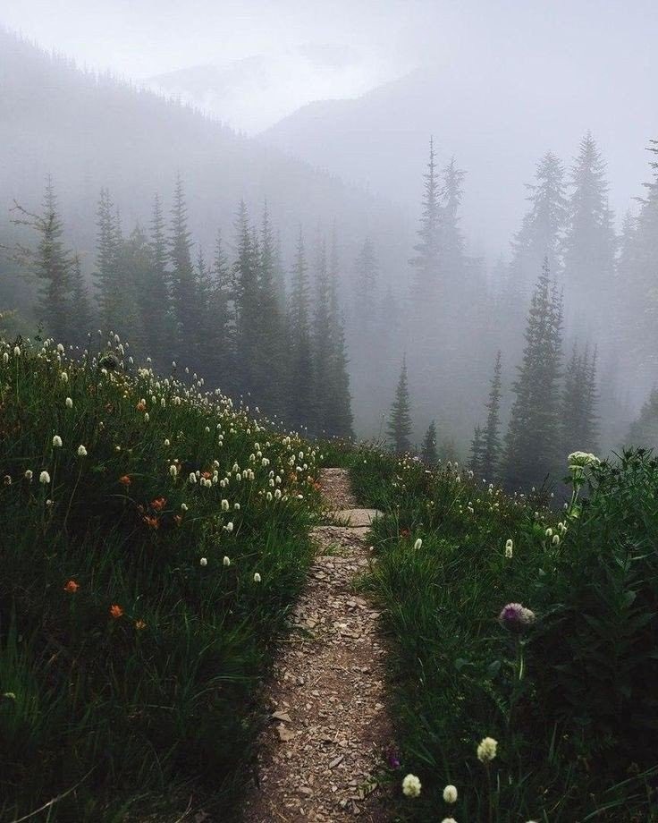 piitures's tweet photo. Nature 🌿 https://t.co/kzlOYUJ9AY