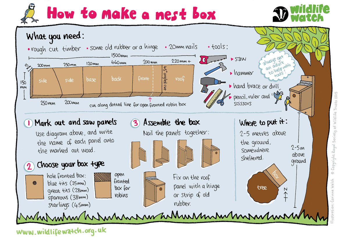 Get ready to nestflix and chill 💞 Next week, celebrate Valentine's Day and #NationalNestBoxWeek! Nothing says I love you quite like building a nest box for a loved one 💚 wildlifetrusts.org/actions/how-bu…