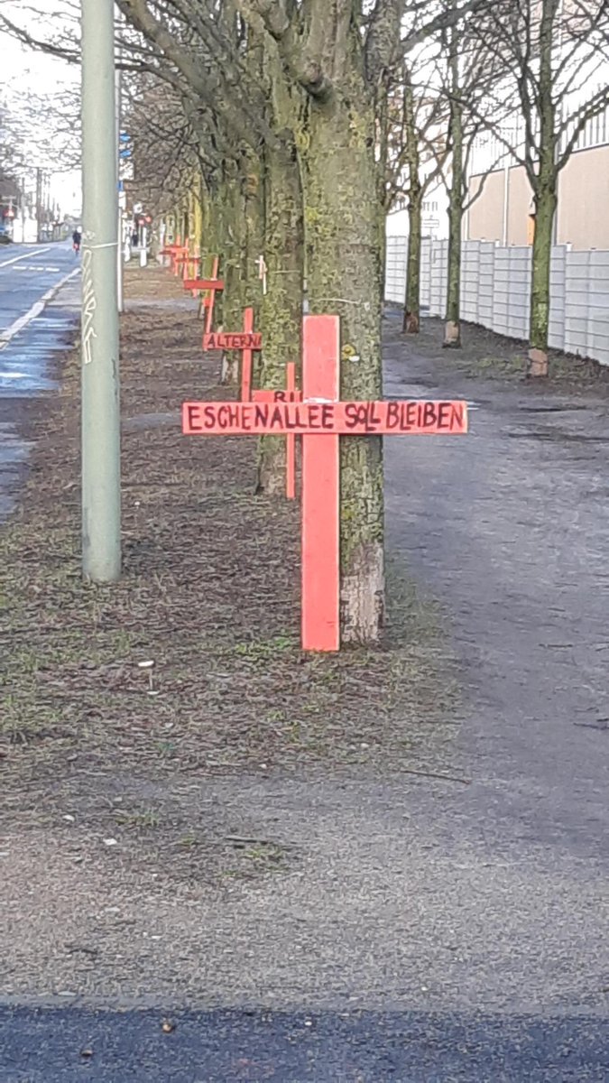 stierischgut's tweet photo. Wie lange werden sie wohl noch stehen?!? Danke für die Aktion von Nachbar:innen aus dem #Bötzowkiez 🙏🏼
#26eschen #eschenallee https://t.co/Lw2e1JvbK5