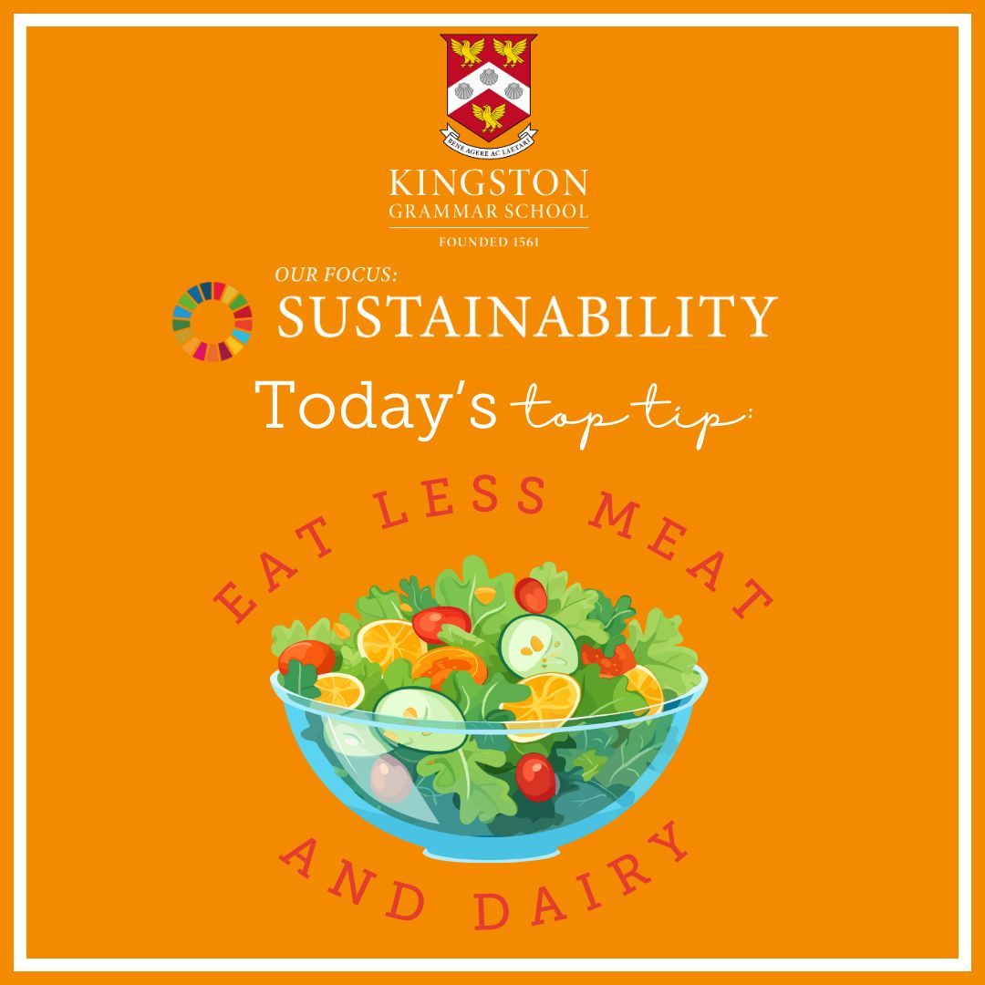 The Kindness Council tweet media