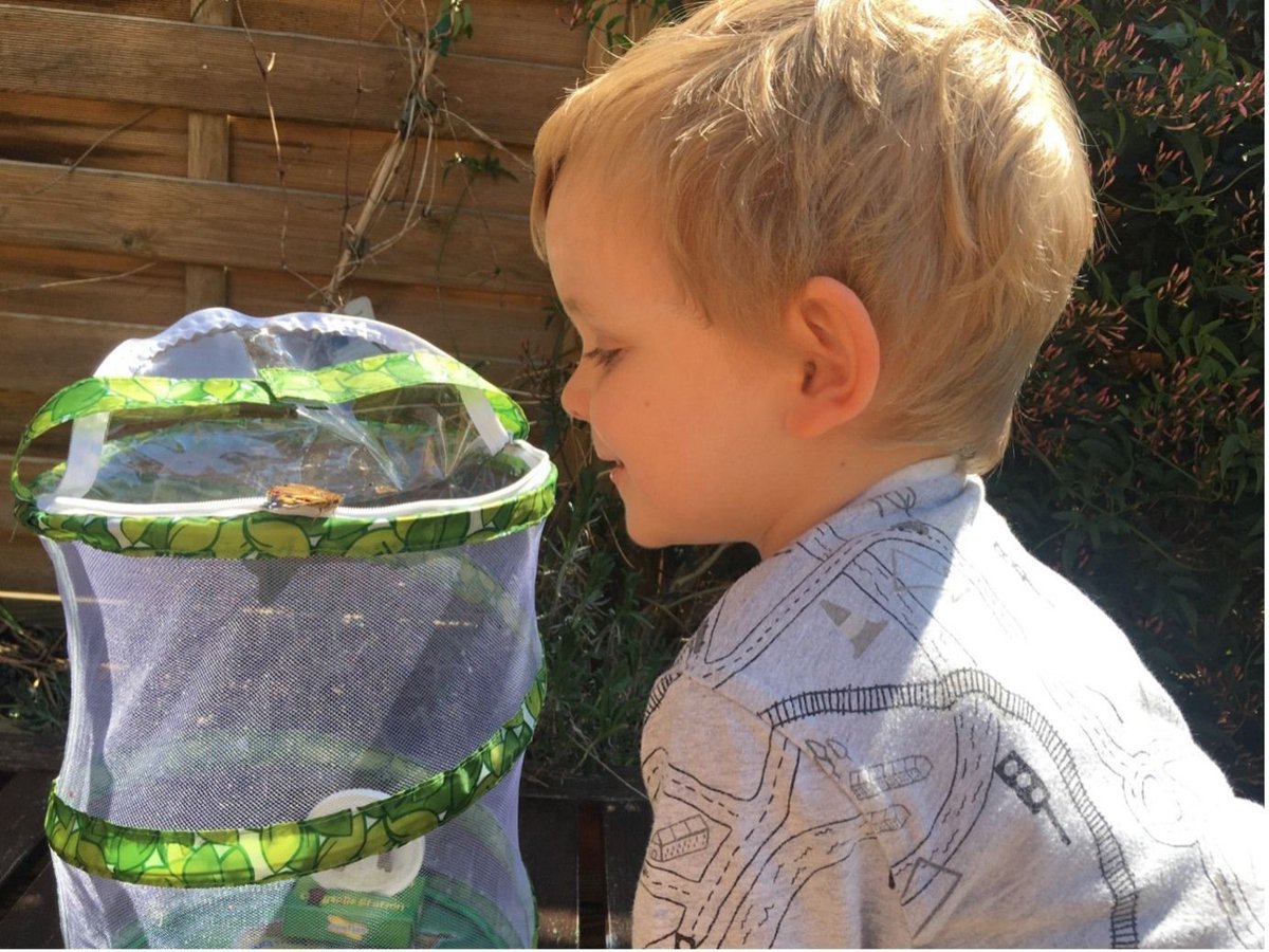 UK Dementia Research Institute tweet media