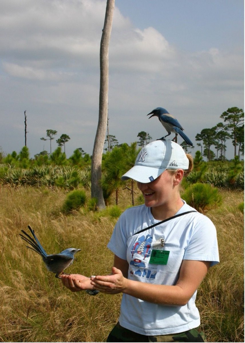 UK Dementia Research Institute tweet media