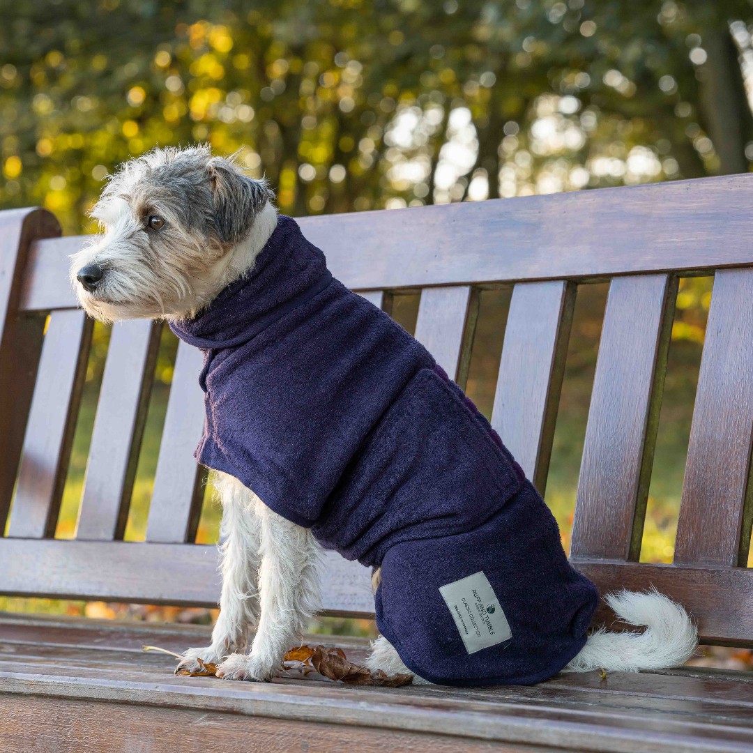 RuffTumbleCoats's tweet photo. Our classy, rich Blackberry Drying Coats are now back in stock!
Get yours here: https://t.co/4EVSquwb8s
#ruffandtumble #dryingcoats #bestdryingcoats #dogdrying #dogwet #dogcold #colddogs #wetdogs #smellydogs https://t.co/ZTY2k8aaMi