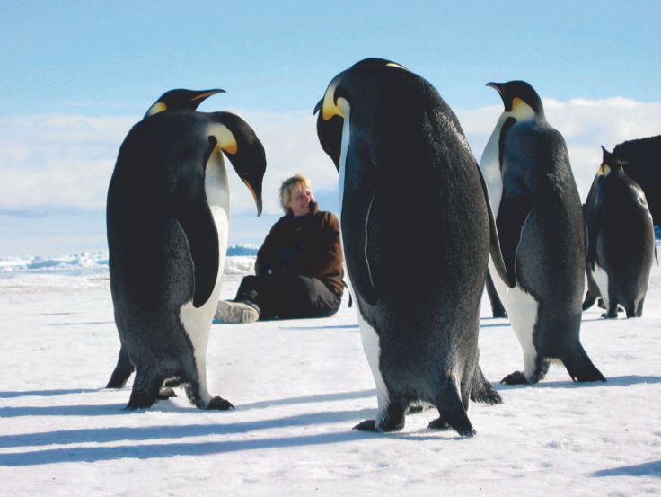 <a href="/WhalesFromSpace/">Hannah Cubaynes</a> @nadiafrontier <a href="/Dr_Gilbz/">Dr Ella Gilbert</a> <a href="/AntarcticHT/">UK Antarctic Heritage Trust</a> How did BAS boss Professor Dame Jane Francis get into polar science?

Grab a coffee and a comfy seat for this lovely long-read interview about her work, experience of gender discrimination, and journey to the top job at BAS.

🗞️ buff.ly/4bsQizb 
#WomenInScience 🧵 5/5