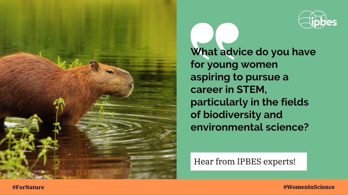 ipbes tweet media