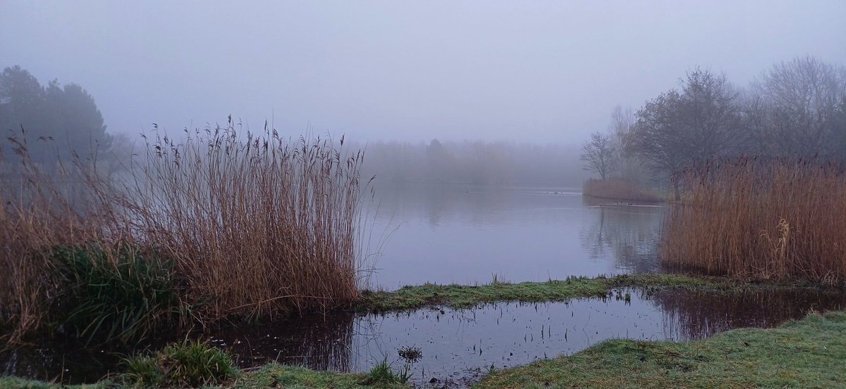 Muttley1968A's tweet image. Beautiful misty morning bimble 🌫👣 around Rushcliffe Country Park.  @RUDDINGTON_info  @RuddingtonCA  that warming spring feeling #Springsoon 🌱☘️🌼🌺 @Nottswildlife