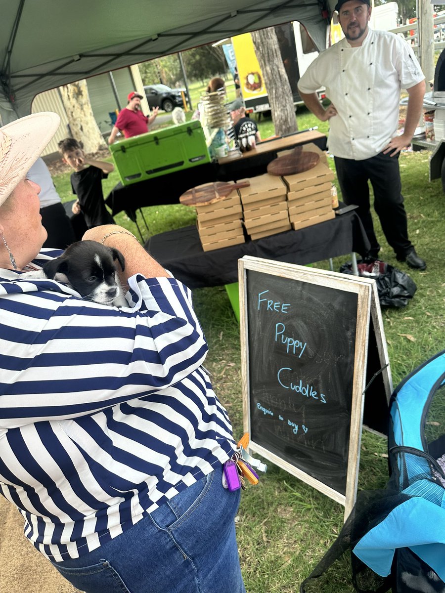 🌞🎶 This afternoon we soaked up summer vibes at Cambooya enjoying fantastic tunes, &amp; even free puppy cuddles! 🐾We had a paw-sitively good time!
#CommunitySummerTunes #puppycuddles #SummerVibes #LocalLove 
#toowoombaregion #cambooya