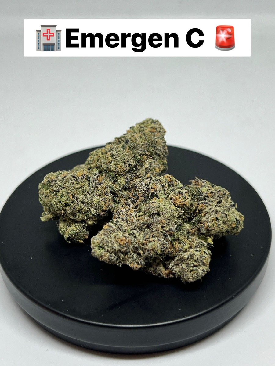 tastedthc's tweet image. 🏥Emergen C 
(Orange Push Pop x Sunset Sherbet)
Feel : Talkative Energetic Focus
Taste : Lemon Pine Sweet 

#Tastedthc 
#420bkk #emergenC 
#กัญชาพรีเมี่ยม #กัญชาพระราม9 #กัญชาเจริญกรุง #กัญชาทองหล่อ #กัญชาสุขุมวิท #กัญชาราชเทวี #กัญชาจุฬา #กัญชาเสาชิงช้า #กัญชาสยาม #กัญชา