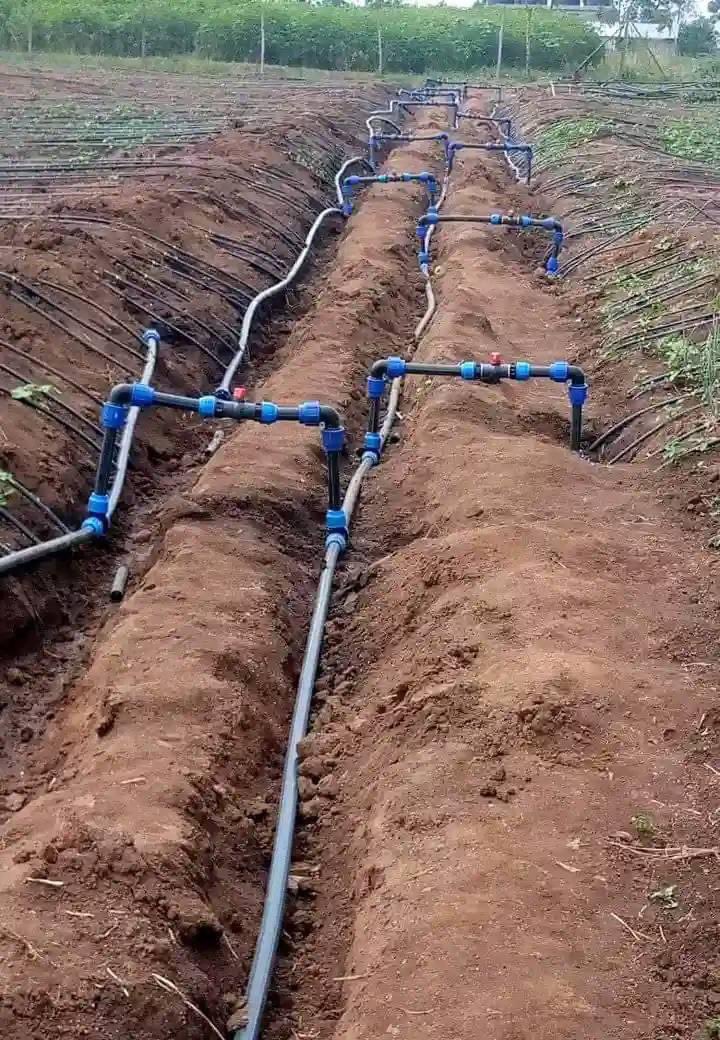 PichaNzuri's tweet image. Ukiwa jamii ya fundi Michael lazma  kijasho kikutoke kwenye system hii