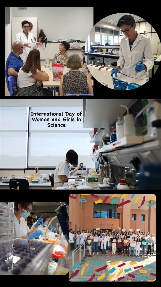 a_amiama's tweet photo. May science be an option for all women
May their scientific careers lead to leadership positions.
May we be caught with a pipette in our hand and a project in mind
#WomenInScience #mujeryciencia
#DiaDeLaMujerYLaNinaEnLaCiencia
#ScienceWoman #ScienceResearch #PhD https://t.co/1NzgPWAU61