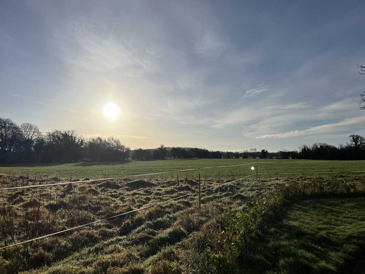 Beautiful morning in Dunsany ☘️