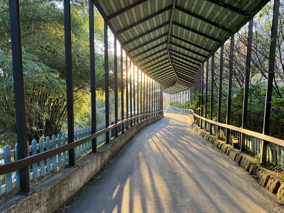 alien_woo's tweet image. 綠意山莊