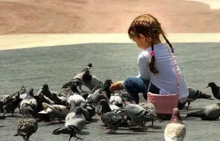 اپنے سے کمزور کے ساتھ کیا جانے والا سلوک ہی انسان کا اصل اخلاق ہوتا ہے  __♥️