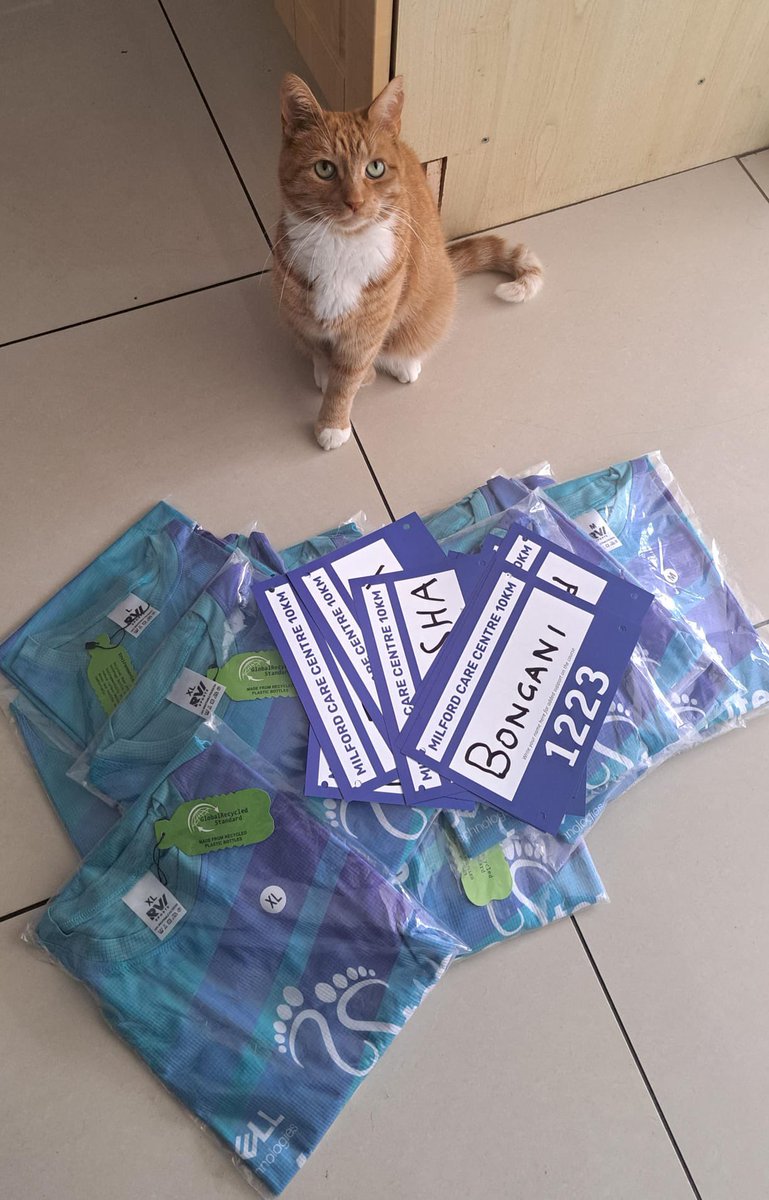 Sanctuary Runners Limerick tweet media