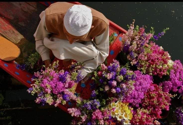 ارے مسافر!
 ایک گلاب خریدتا جا!!
 ممکن ہے راستے میں تجھے اس کا کوئی حق دار مل جائے…!

-شمس تبریزی __♥️