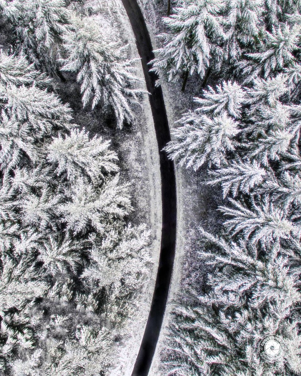 Forest road 🖤❄️🖤

#toulxstecroix #dronephotography #magnifiquefrance #France #topdown #ThePhotoHour #StormHour #SnowHour #DroneHour