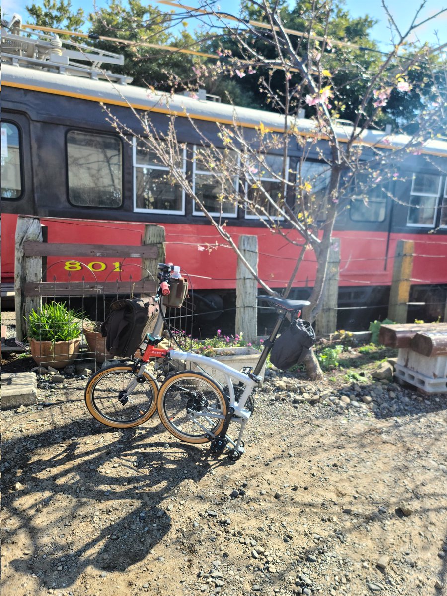 DannySullyvan85's tweet photo. うちのネコの名前は梅。
#おりたたぶ
#Brompton https://t.co/UhpezR9ZF9