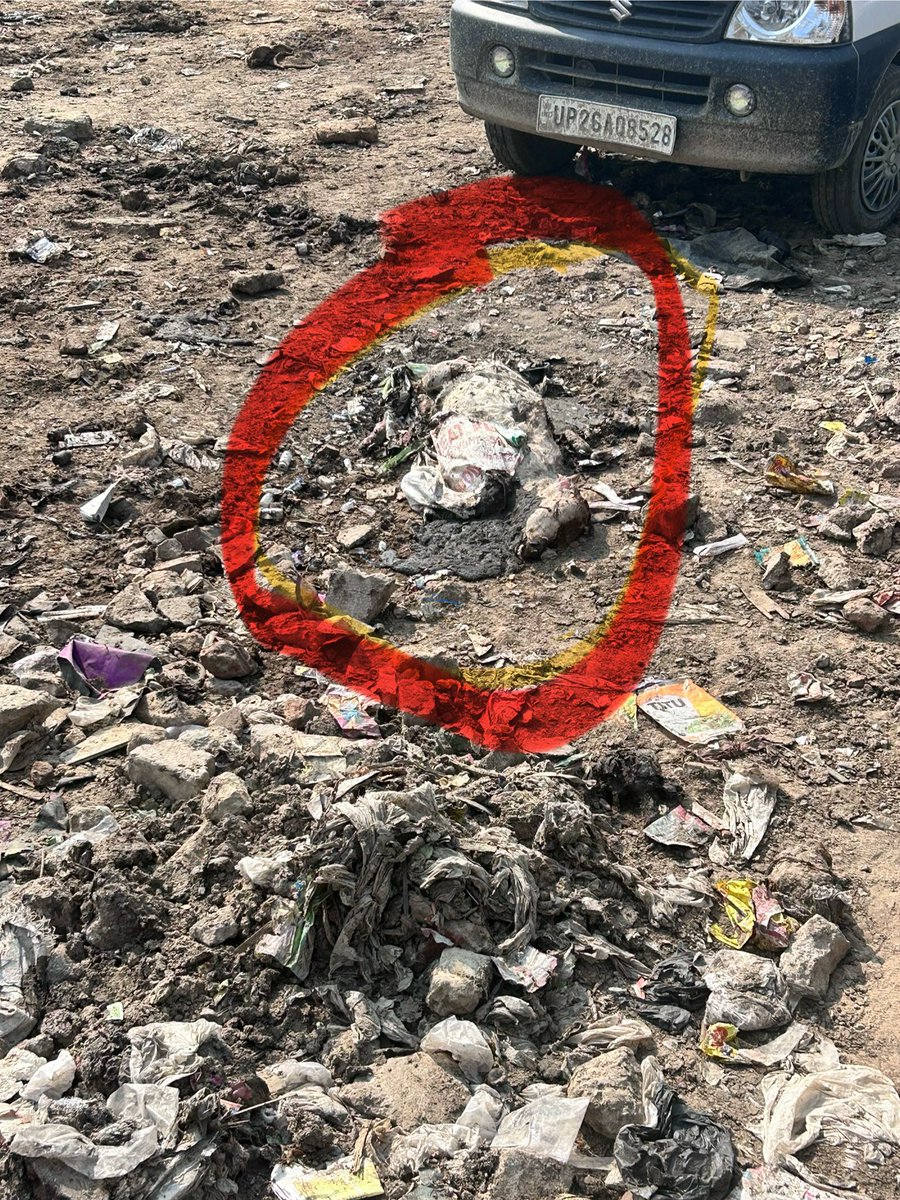 Chhonker01's tweet photo. ये तस्वीरें हैं #Gurugram के पेस सिटी 1 सेक्टर 37 के साथ लगे हरि नगर की जहाँ कुछ अवैध रूप से डेयरी चल रही हैं और गोवंश मर रहे हैं सड़ रहे हैं कुत्ते मरे हुए गोवंशों की लाश को नोच नोच कर खा रहे हैं । ना तो @OfficialGMDA ना @mcggurgaon ना ही पुलिस की नज़र यहाँ जाती है ।  
#विस्थापन_में_समतुल्य_भूमि
@cmohry @mlkhattar @mygovharyana @Rao_InderjitS @DC_Gurugram @sudhirsinglabjp @MunCorpGurugram @madhuazad