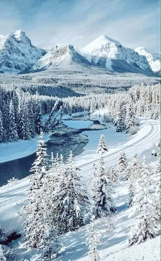 TLeoni311's tweet image. Good morning ❄️❄️