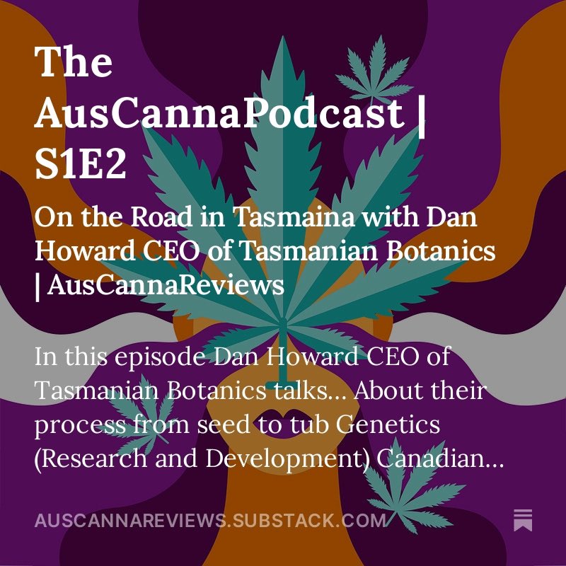 Australian Medicinal Cannabis Reviews tweet media