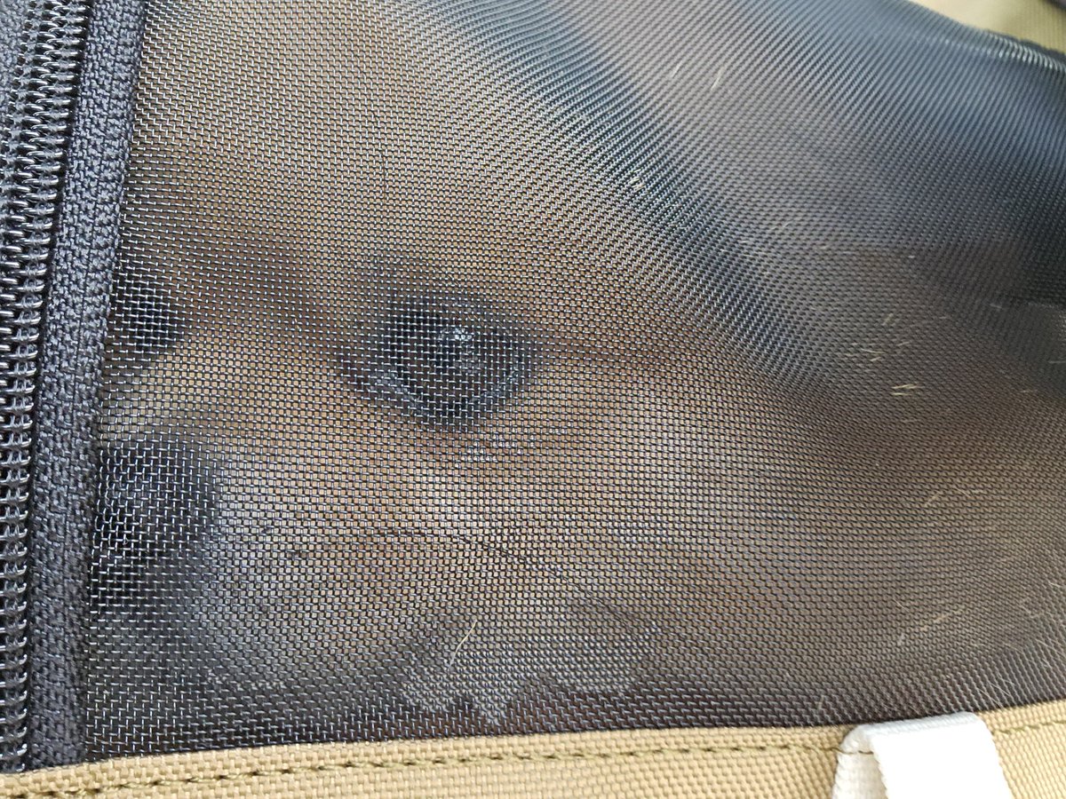 Mochaaaaa190701's tweet photo. 누나랑 어디론가 떠나는중🤭
아이캔더 지게백 이제야 개시했는데 부피 빼면 참 좋네여..
역시 두 어깨로 매기 짱이고여.. 각이 더 딱 잡히면 완벽할��가태..
작은 사이주 하나 더 갖고싶다.. https://t.co/gbE5HDPMAw