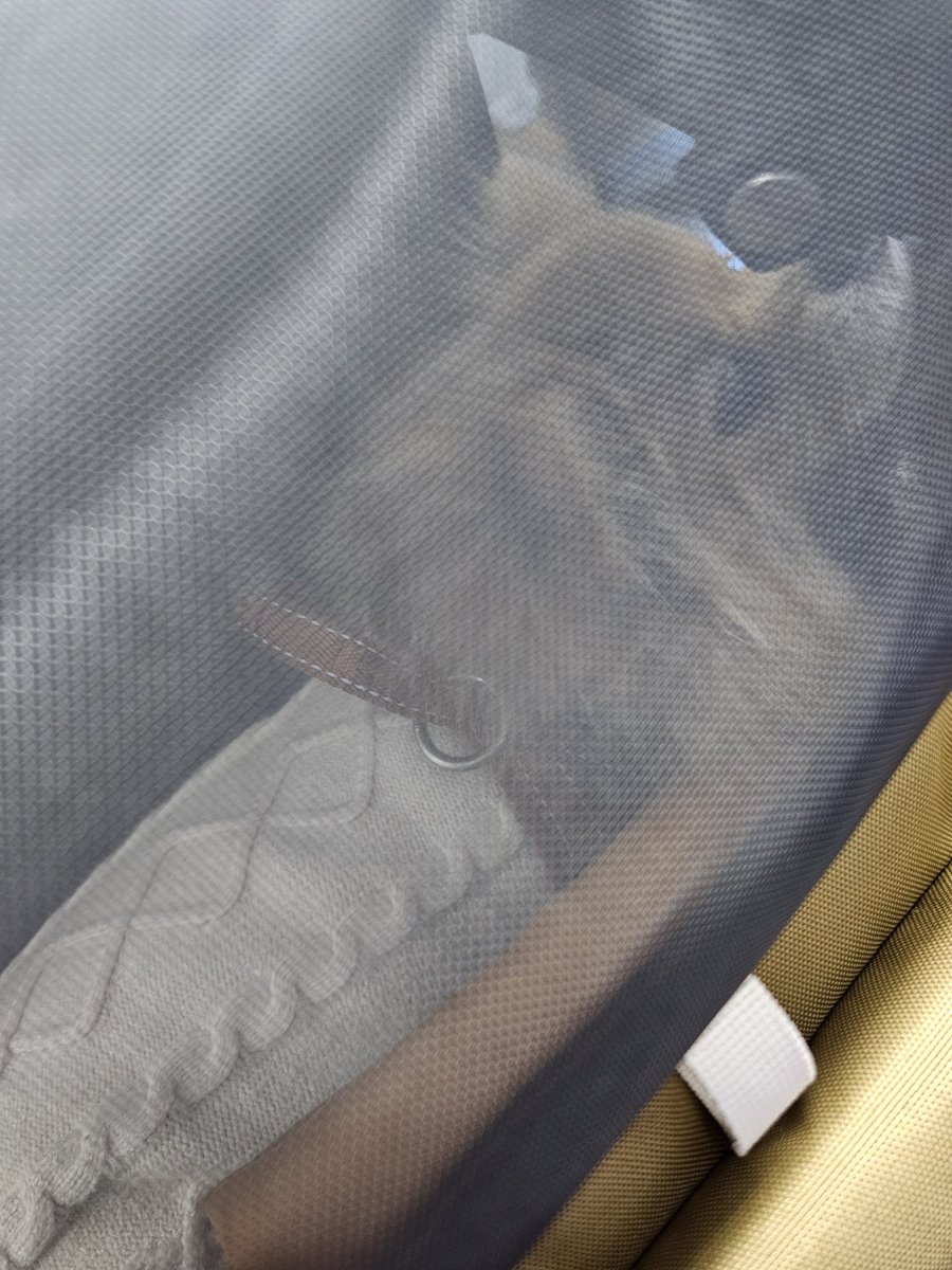 Mochaaaaa190701's tweet photo. 누나랑 어디론가 떠나는중🤭
아이캔더 지게백 이제야 개시했는데 부피 빼면 참 좋네여..
역시 두 어깨로 매기 짱이고여.. 각이 더 딱 잡히면 완벽할��가태..
작은 사이주 하나 더 갖고싶다.. https://t.co/gbE5HDPMAw