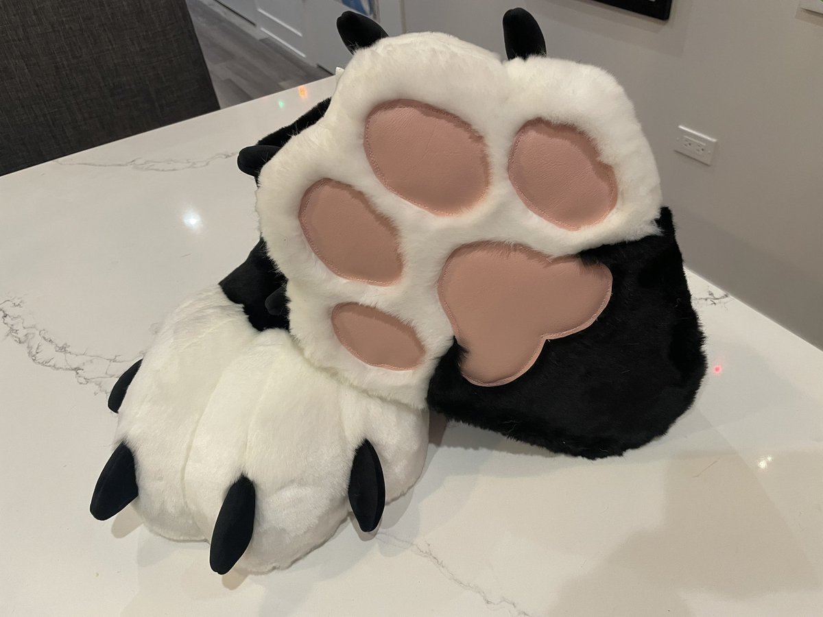 🔥🪶Phoenix Nest🪶🔥 tweet media