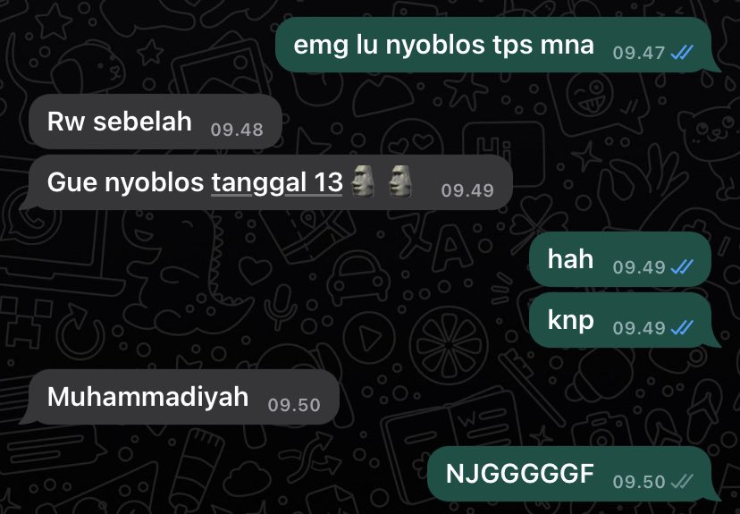 ian 🍉 tweet media