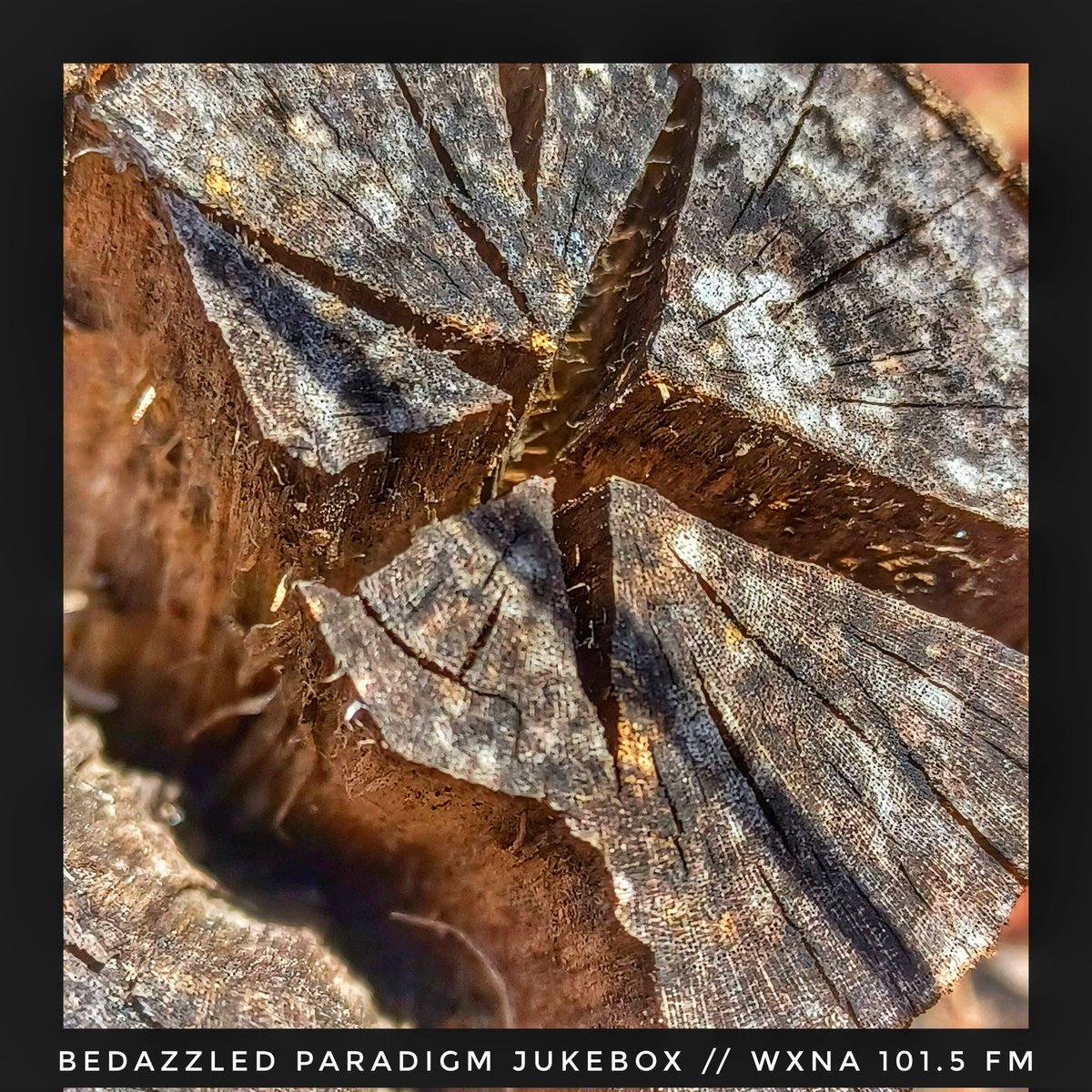 rhatfink's tweet photo. Music I love on the radio station you love. Bedazzled Paradigm Jukebox with DJ rhatfink Sunday morning at 7am only on @wxnafm 101.5 or online at https://t.co/kaREuizCnm

New music  includes @afrocelt.soundsystem @pylonreenactmentsociety  @blacknitecrash and more!!

#tunein https://t.co/0Q5Wf3HyfF
