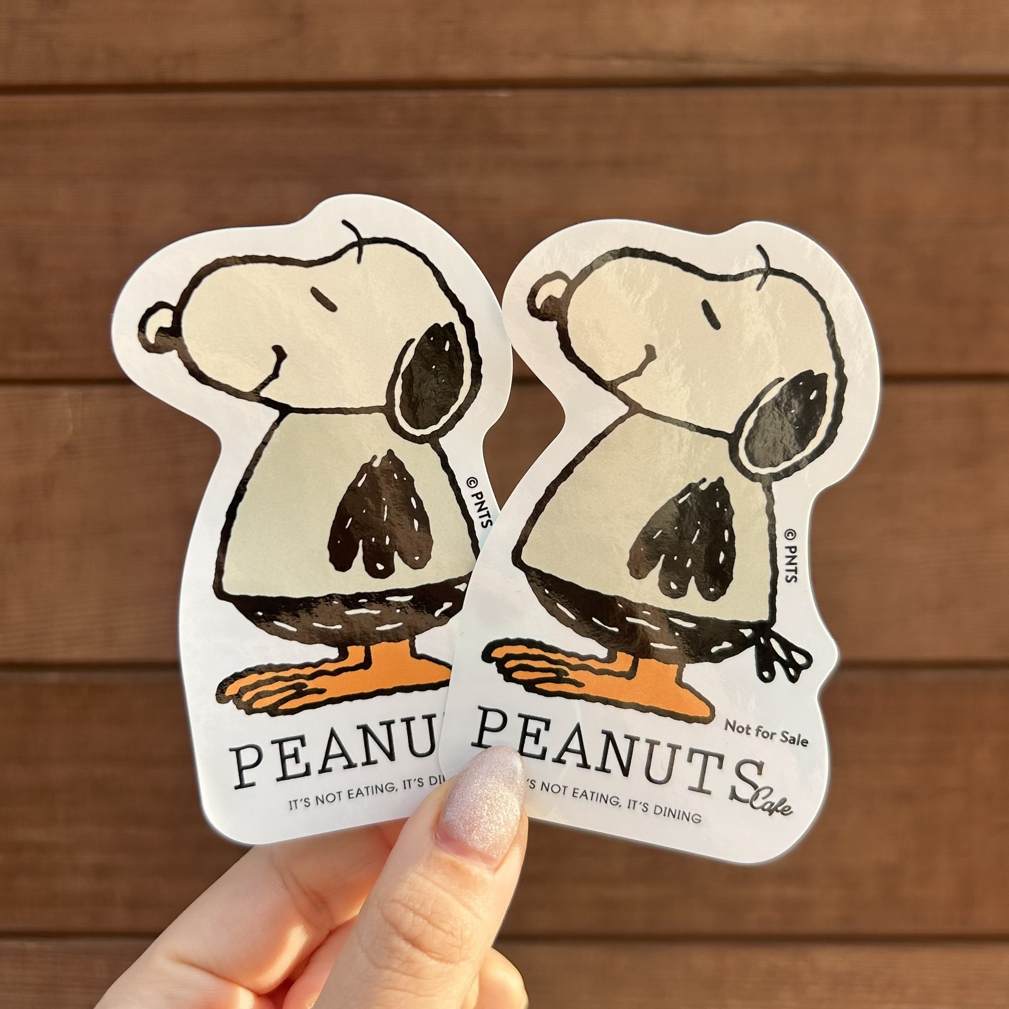 スヌーピー ピーナッツカフェ ピーナッツ　ペリカンズ PEANUTS Cafe NGO ペリカンズ スヌーピー
